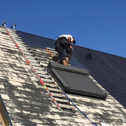 Image de Reno protect colors