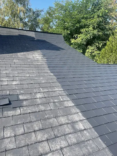 Image de Ricci couverture