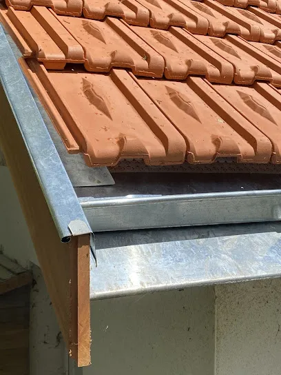 Image de Roncin Couverture