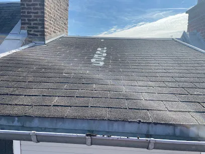 Image de S.F Renovations