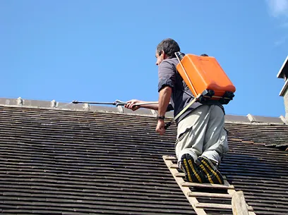 Image de Sabas Couvreur Bourg-en-Bresse 01