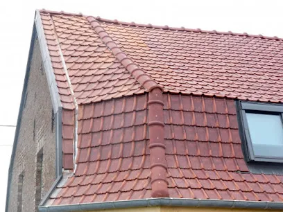 Image de SAS Pro Rénovation Bibaut: Artisan Couvreur Zingueur - Réparation et remplacement toiture