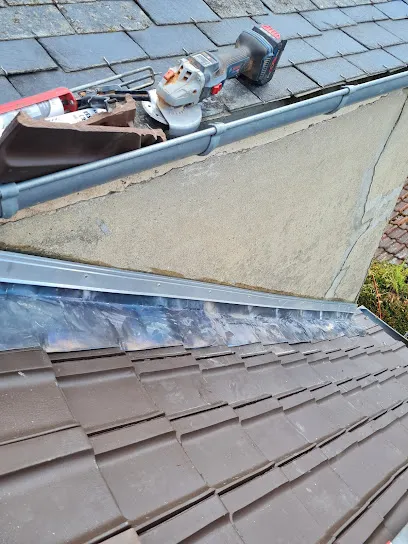 Image de Scotto couverture