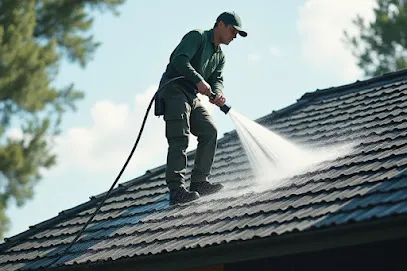 Image de Sos Couvreur Bourges Réparation Toiture Démoussage