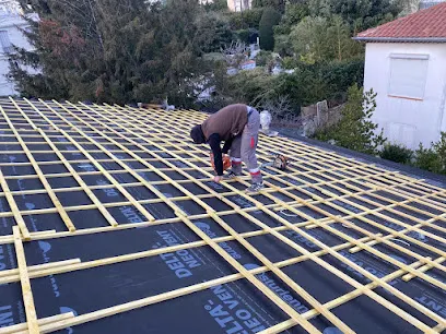 Image de Sos toiture étanchéité