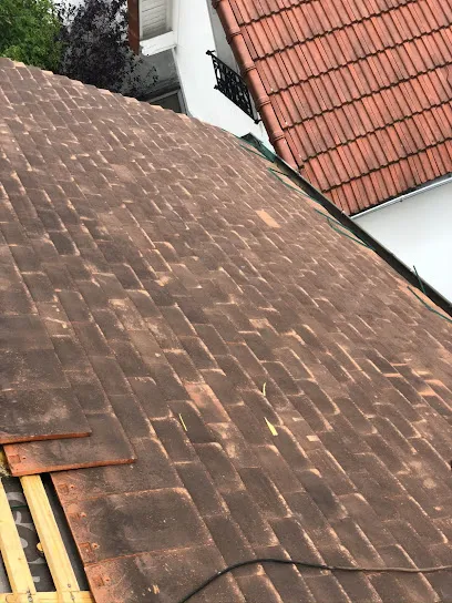 Image de Springard Couverture