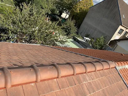 Image de Stanislas Couverture