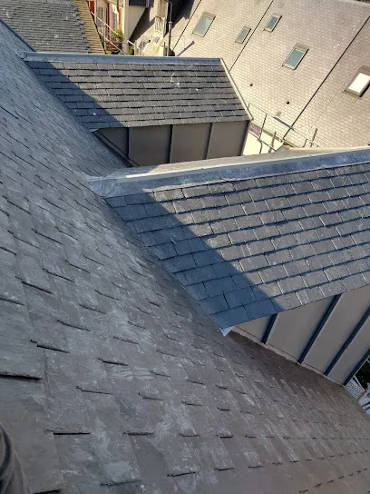 Image de Sur Les Toits De France