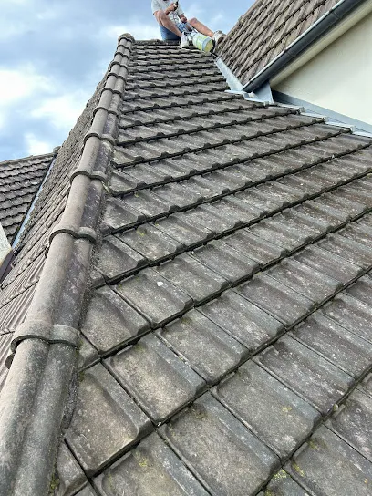 Image de T.A.M toiture artisan couvreur démoussage étanchéité traitement toiture couverture peinture zinguerie 69 Rhône 01 Bron Lyon