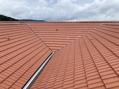 Image de TCZ Thomas Couverture Zinguerie