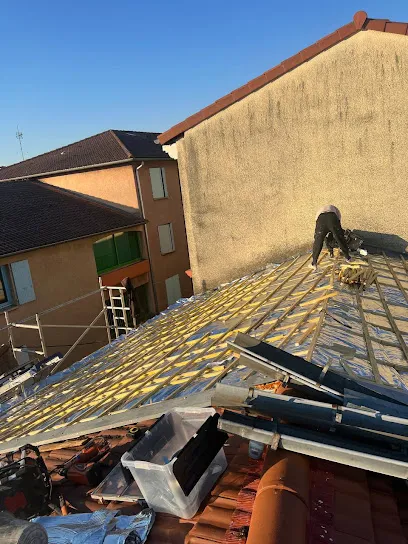 Image de TD Toiture Lyonnaise - couvreur Lyon