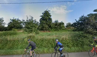 Image de Thomas Saliou Couverture