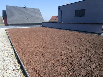 Image de Toit végétalisé