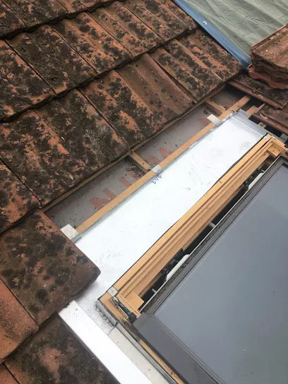 Image de Toiture Couvreur Etrembières