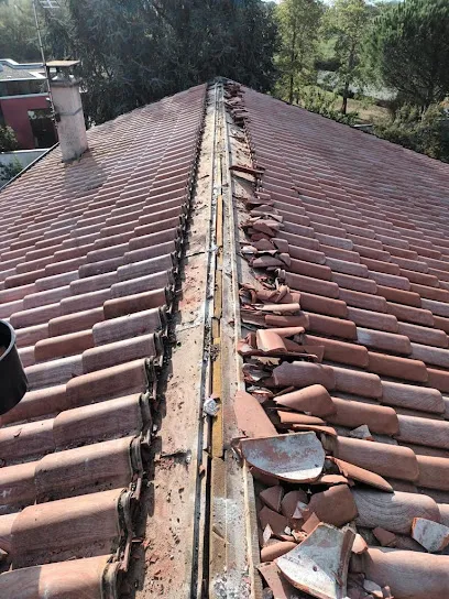 Image de Toulouse toitures facades