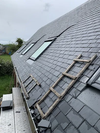 Image de Triskel Couverture