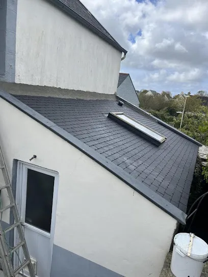 Image de Wels couverture