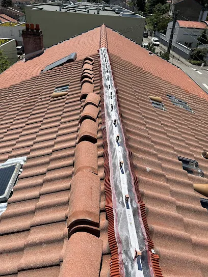 Image de Yung Couverture Occitanie