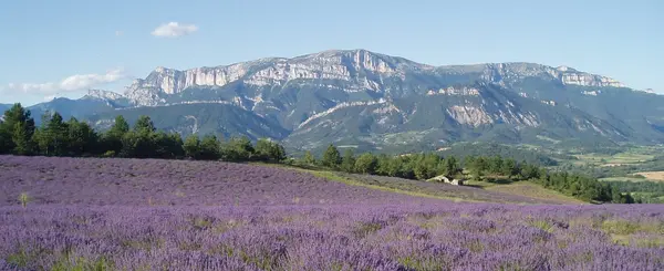 Couvreur Shingle Couvreur shingle Drôme