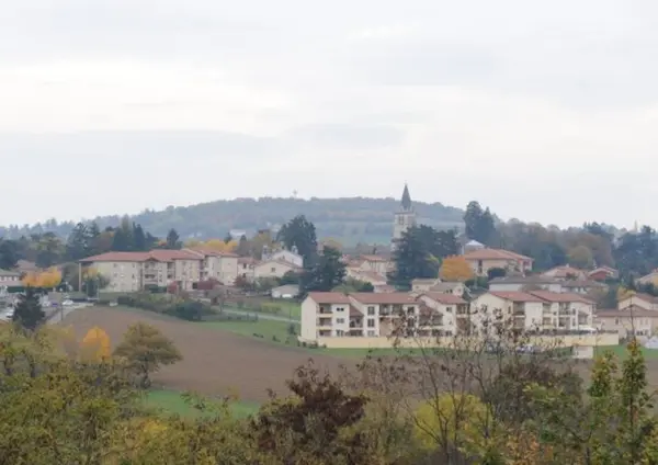 Couvreur Shingle Couvreur shingle Lentilly