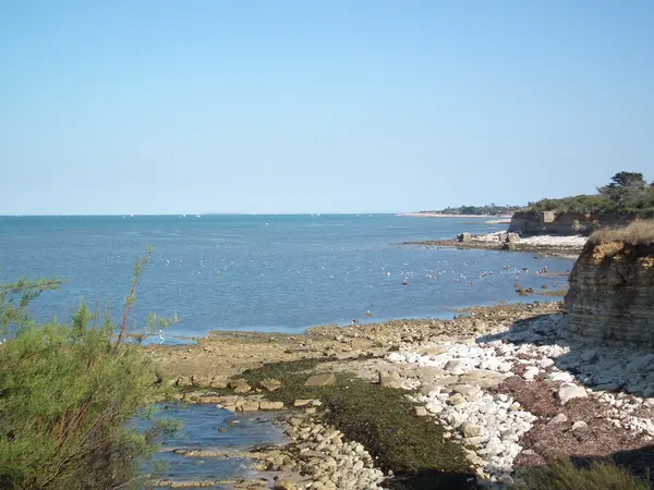 Couvreur Shingle Couvreur shingle Nouvelle-Aquitaine