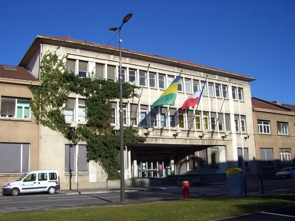 Couvreur Shingle Couvreur shingle Saint-Martin-d'Hères